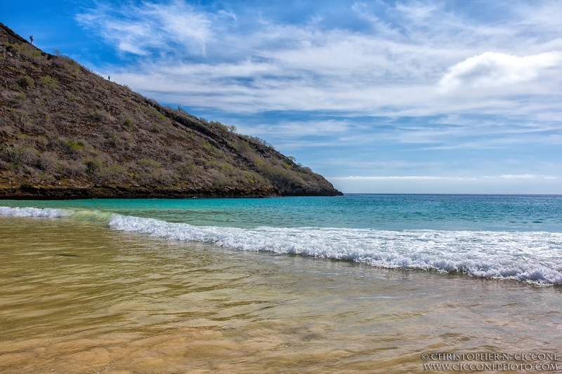 Floreana Island