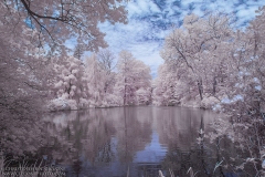 Mount Auburn Cemetery