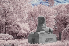 Mount Auburn Cemetery