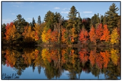 New Hampshire Fall Foliage