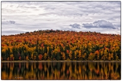 New Hampshire Fall Foliage